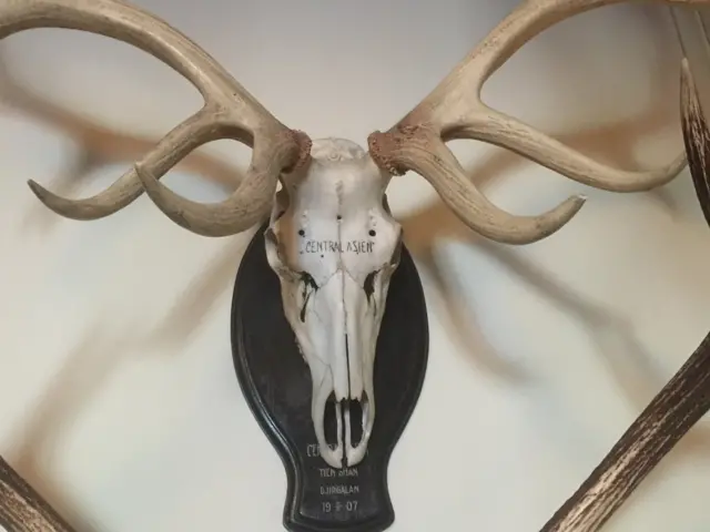 Т. Сарлыкбек уулу: Бул туура эмес. Менин оюмча, муну менен өзүңдүн мекендешиңди атып жатасың, бул жерде адам же жаныбардын айырмасы жок. Баарыбыз мына ошол Ала-Тоонун жашоочуларыбыз, мекендешпиз. Ошон үчүн аңчылык бизнеси токтотулуш керек