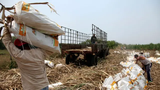 Trabajadores de la caña en Nicaragua