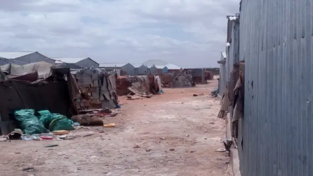 Xeryaha barkacyaasha ee Gaalkacyo