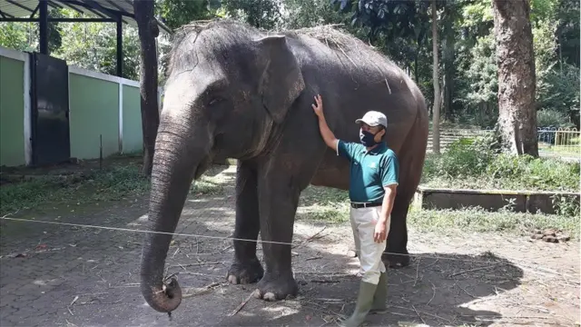 kebun binatang, bandung
