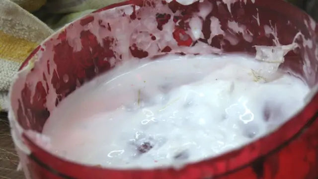 欧阳秉志的工具——浆糊（BBC中文网图片）