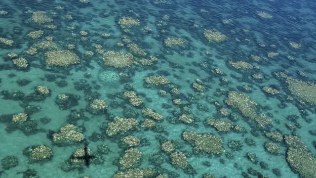 Imagen aérea del blanqueamiento de los corales de la Gran Barrera de Arrecifes, tomada por Centro de Excelencia para Estudios de Arrecifes de Coral del Consejo Australiano de Investigación.