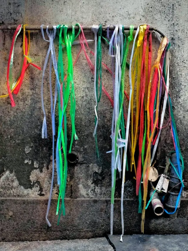 మైకేల్ వోల్ఫ్