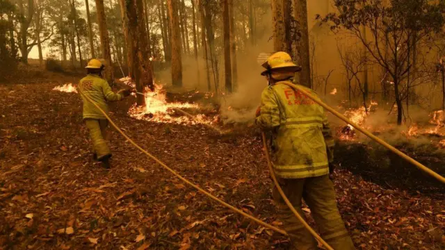 bombeiros da Austrália tentando apagar incêndio florestal