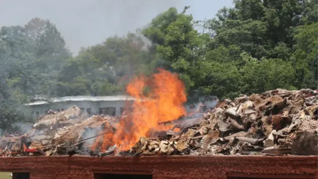 කිලෝග්‍රෑම් 1100 ට වැඩි ඇත්දළ ගිනිබත් නොකෙරුණි