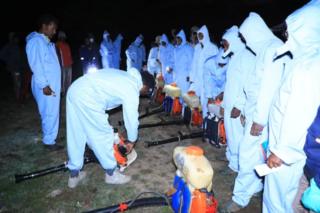 ኣብ ኤርትራ ዝተራእየ ዕስለ ኣንበጣ ኣብ ቍጽጽር ከምዝኣተወ ተገሊጹ