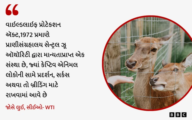 બીબીસી, વાઈલ્ડ લાઇફ ઑફ ઇન્ડિયા