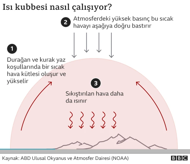 Isı kubbesi
