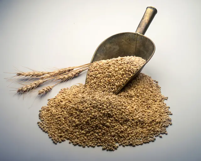 पोटात सतत 8 गॅस होत असेल तर हे 8 पदार्थ कारणीभूत असू शकतात 