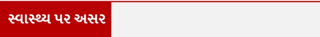 શાકભાજી, ગાજર, કંદમૂળ, માઇક્રોપ્લાસ્ટિક, હેલ્થ, બીબીસી ગુજરાતી
