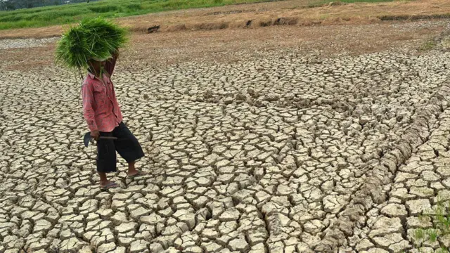 બીબીસી ગુજરાતી, ગુજરાત, બીબીસી, અમદાવાદ