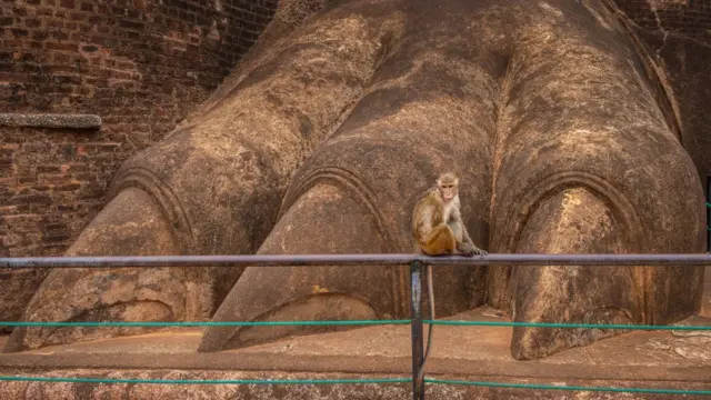 The 5th-Century palace was built to resemble a lion, with the paws flanking the main entrance
