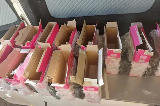 Caixas abertas e vazias de sabão em pó, alinhadas em fileiras