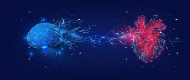 Sammuu fi onneen wal dubbisu