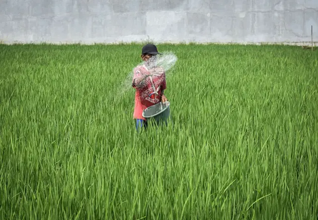 
இரான் போரால் ஆசியா உட்பட உலகெங்கும் உணவு விலை உயரும் ஆபத்து ஏன்?