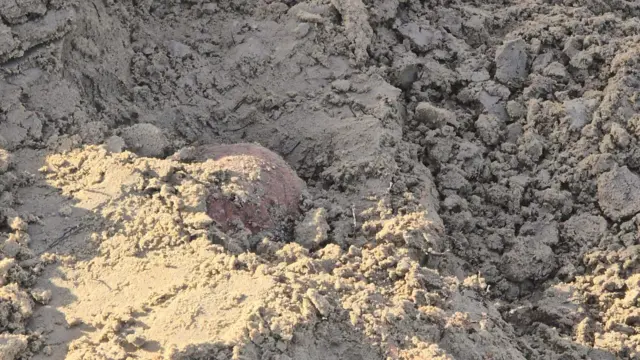 செம்மணி மனிதப் புதைக்குழி