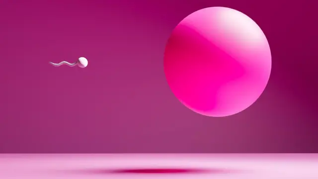 Researchers have found that as men age, the cells which form sperm can pick up mutations which can be passed on to the next generation