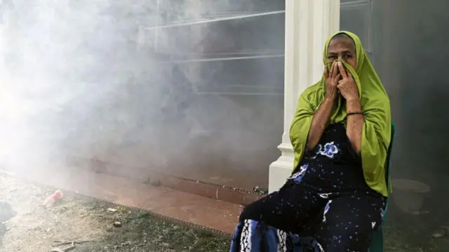 Demam Berdarah Dengue