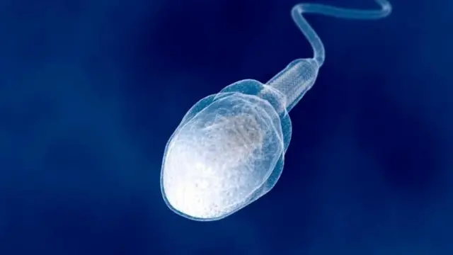 ਸੰਕੇਤਕ ਤਸਵੀਰ