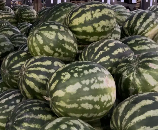 Түшүмүн эми сатайын деп турган дыйкандарга кесепети тийбейби?