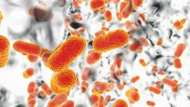 ஆன்டிபயாடிக் மருந்துகளிடமிருந்து 'தப்பிப்பிழைக்கும்' பாக்டீரியா தொற்றுகள் 