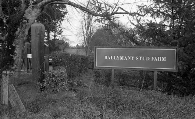 ਆਇਰਲੈਂਡ ਦੇ ਇਸ ਸਟੱਡ ਫਾਰਮ ਚ ਸ਼ੇਰਗਰ ਨੂੰ ਰੱਖਿਆ ਗਿਆ ਸੀ