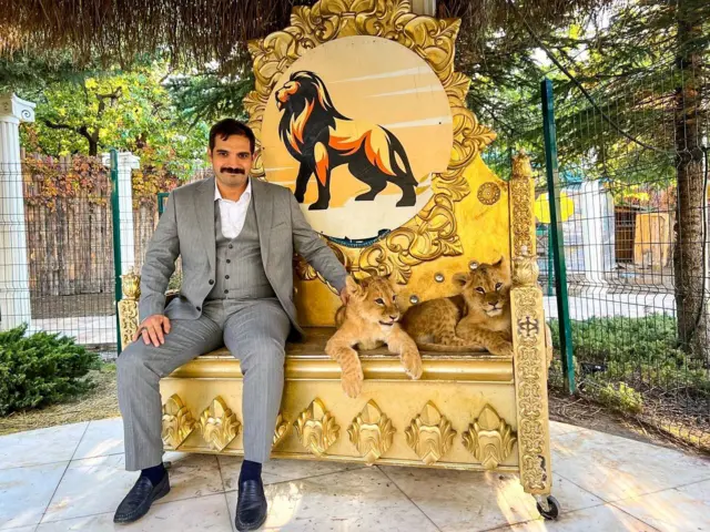 Bir dönem Ülkü Ocakları Eğitim ve Kültür Vakfı başkanlığı görevini yürüten Ateş aynı zamanda Hacettepe Üniversitesi'de öğretim üyeliği yapıyordu.