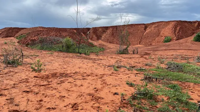 ఎర్రమట్టి దిబ్బలు 