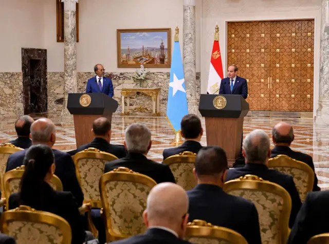 لقاء الرئيس المصري عبد الفتاح السيسي بالرئيس الصومالي حسن شيخ محمود في القاهرة الأحد الماضي