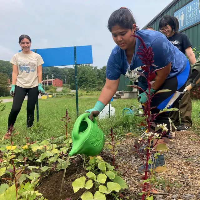 ਫਸਲਾਂ ਦੇ ਝਾੜ 