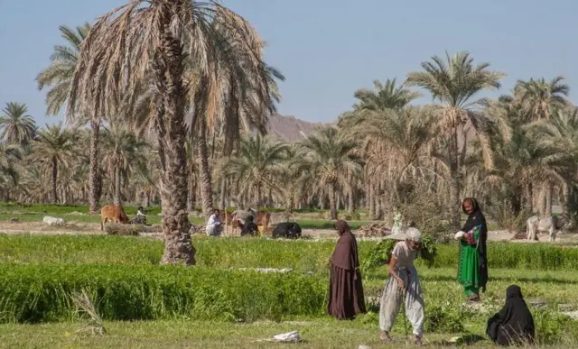 شهروندان بلوچ در برابر درختان نخل