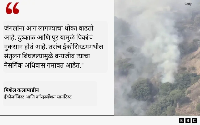 ग्राफिक्स