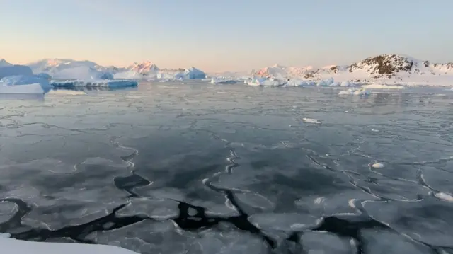 Hielo marino muy fino en primer plano: este es un tipo de hielo marino llamado "nilas" que se forma en condiciones de viento muy bajo.