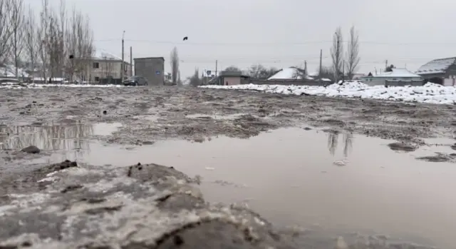 Ак Өргө. Бир жыл мурун бул жерге сейил бак болот деп көчөттөр тигилген