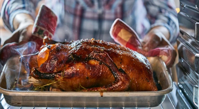 Fırın eldiveni giyen iki el, kızarmış tavuk veya ördeği fırından çıkarıyor