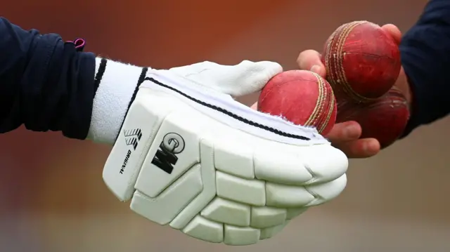 ক্রিকেটের ব্যাটিং গ্লাভস