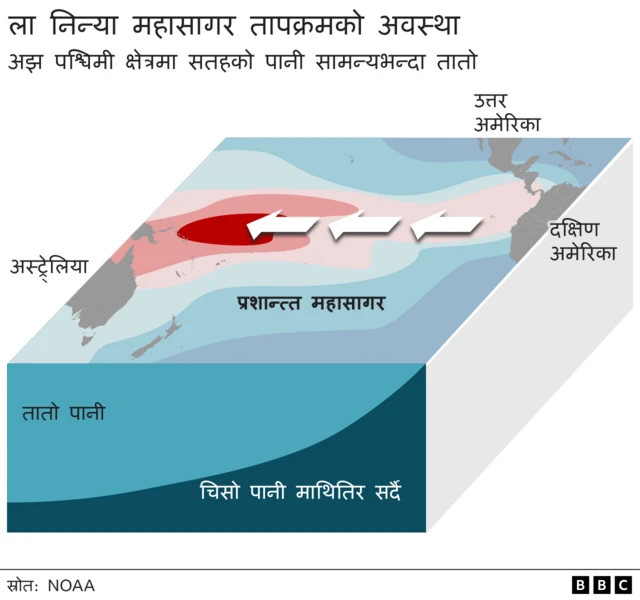 रेडलाइन