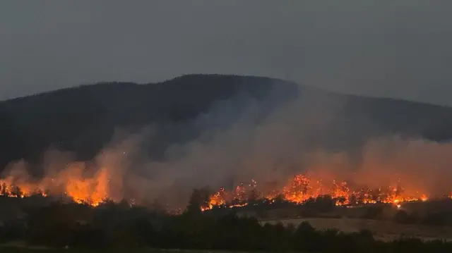 Sakarya'nın Geyve ilçesinde başlayan yangın 23 Temmuz'da Bilecik'e sıçradı. 