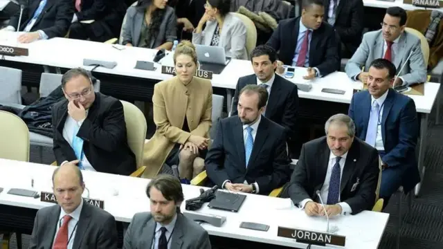 سلامتی کونسل