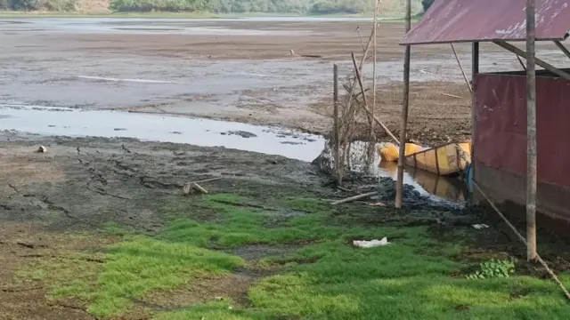 no tag