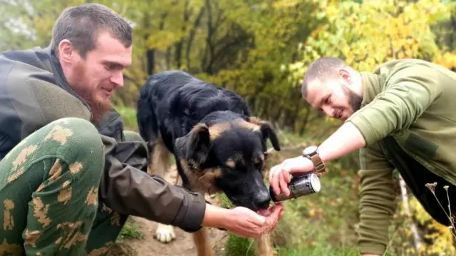 Військові і собака