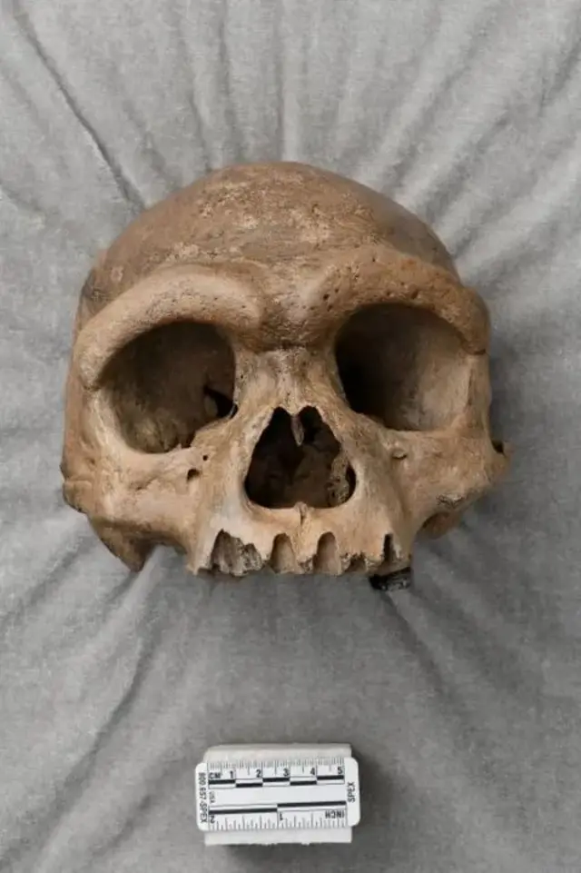 டிராகன் மேன், டெனிசோவன், ஆதி மனிதர்கள் 