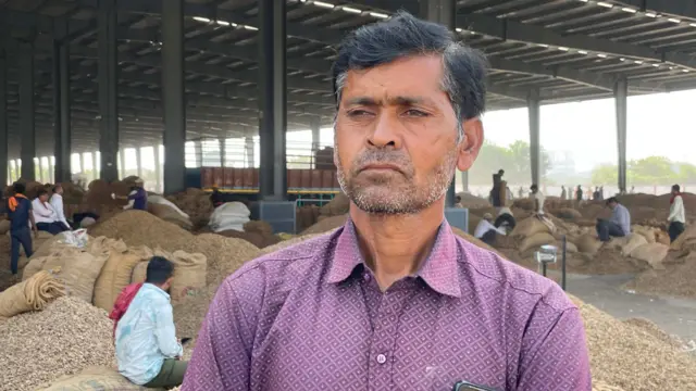 ગુજરાત, મગફળી, શીંગદાણા, ખેતી, ગુજરાતની ખેતી, કૃષિ, ખેડૂતો, ટેકાના ભાવ, કૃષિઉત્પાદન, વરસાદ, બીબીસી ગુજરાતી