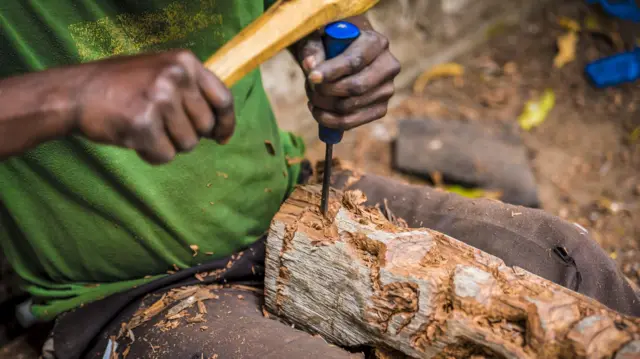 Nwoke ji apị igwe na-apị osisi