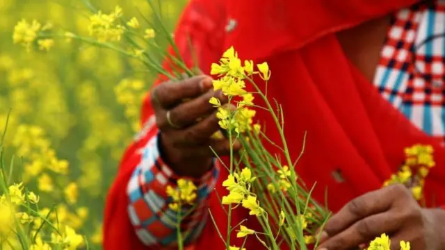 प्रतिकात्मक छायाचित्र