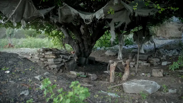 Árvore com pedaços de pano que eram usados para fazer barraco, em uma pedreira em Taperoá, na Paraíba
