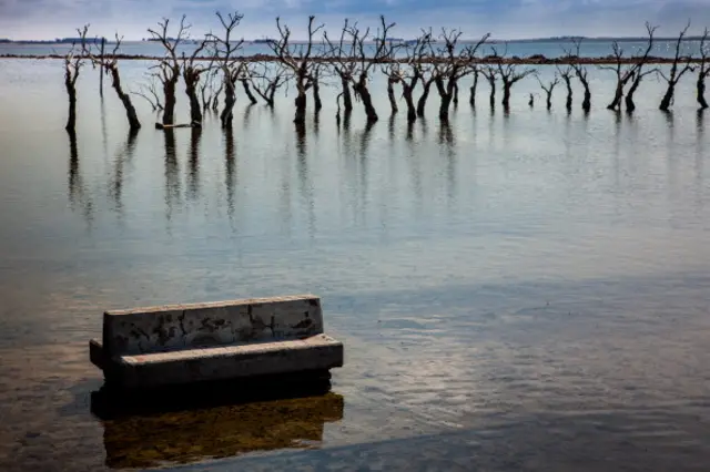 تصویر نیمکت و انعکاس آن در آب. در ویلا اپکوئن، شهری سیل زده در بوئنوس آیرس، آرژانتین گرفته شده است