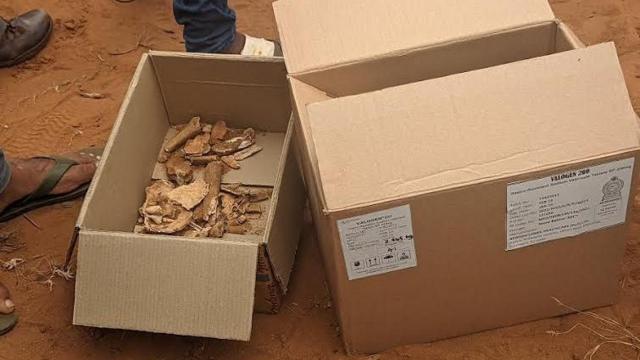 இலங்கை மனித புதைகுழி விவகாரம்