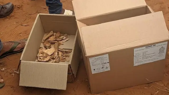 இலங்கை மனித புதைகுழி விவகாரம்