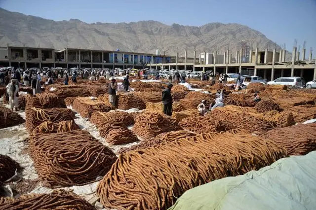 د افغانستان انځر تر ډېره عربي هېوادونو او هند ته صادرېږي